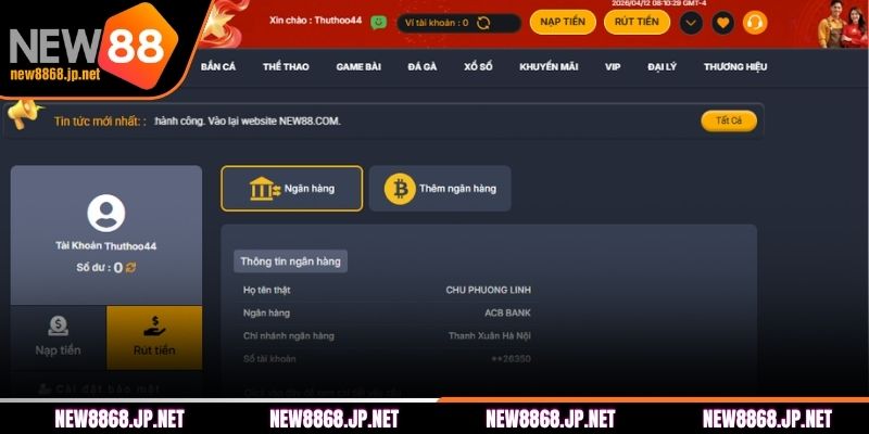 Các điều kiện cần thiết khi người chơi rút tiền NEW88