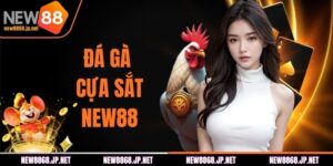 Đá Gà Cựa Sắt NEW88 | Xem Ngay Với Trực Tiếp 4K Chất Lượng