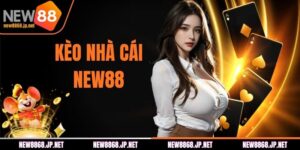 Kèo Nhà Cái New88 - Hướng Dẫn Đọc Và Phân Tích Chuẩn Xác