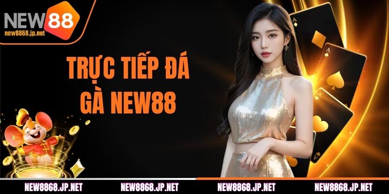 Trực Tiếp Đá Gà NEW88 | Nơi Hội Tụ Nhiều Trận Đấu Gay Cấn